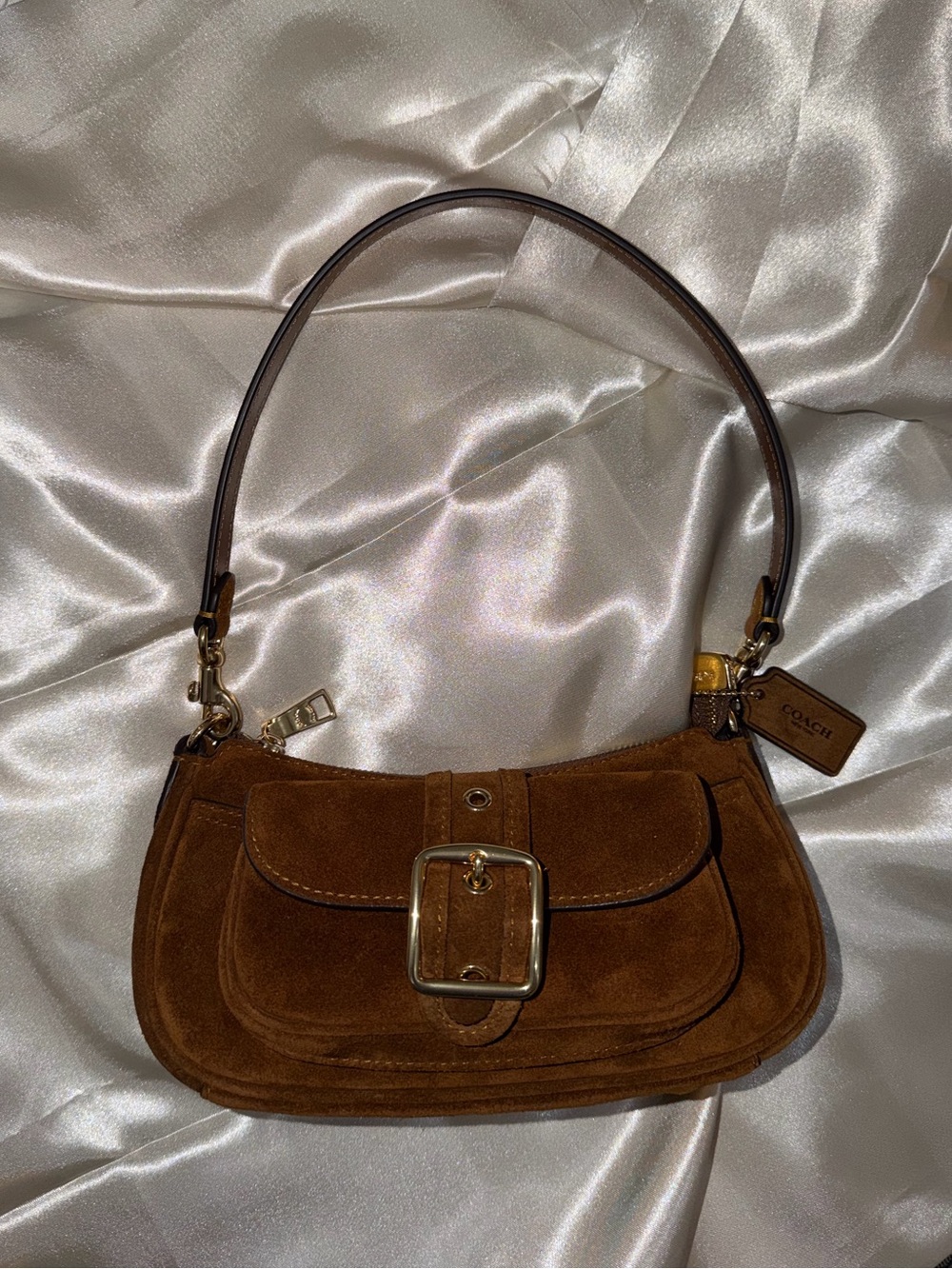 Coach Mini Ashton Suede Crossbody CFA50 NWT - Picture 11 of 11